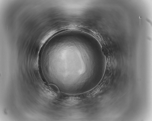 X0000094370292200711021535