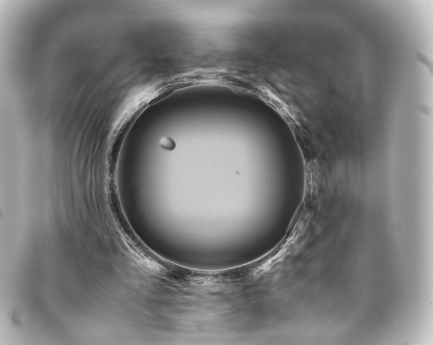 X0000094370293200711021535