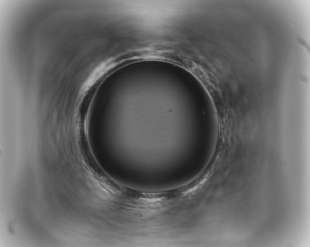 X0000094370295200711021535