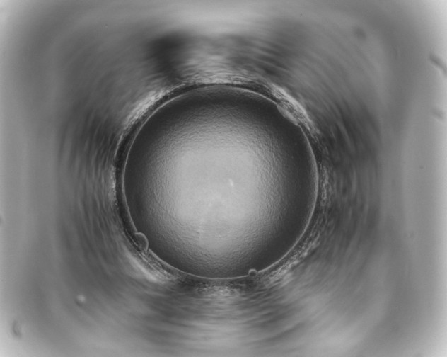 X0000094370298200711021535