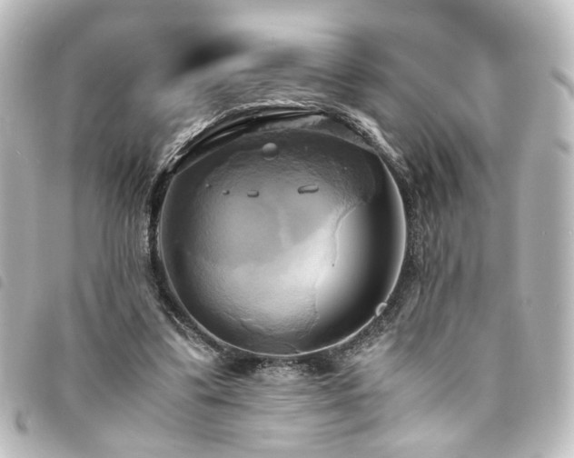 X0000094370299200711021535