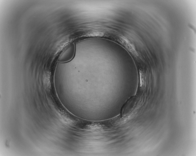 X0000094370300200711021535