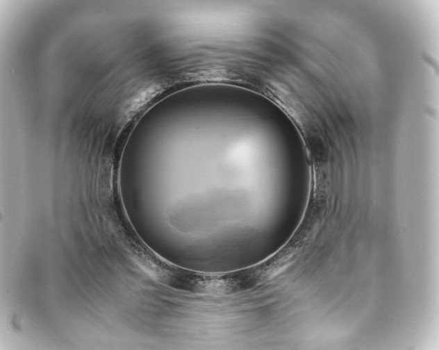 X0000094370301200711021535