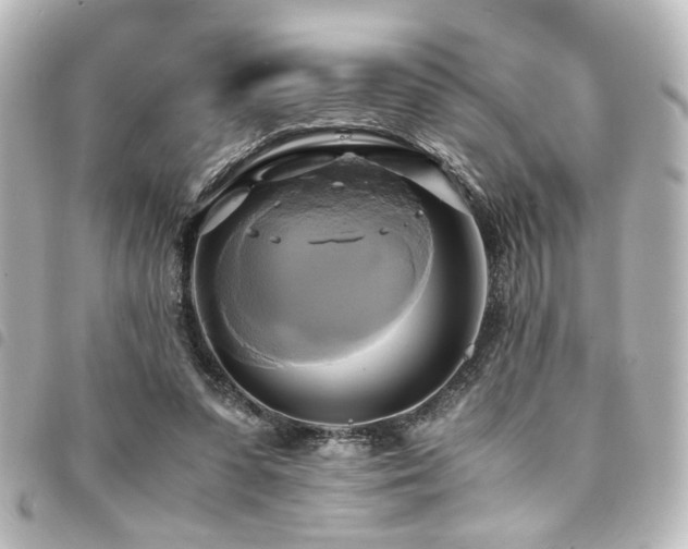 X0000094370303200711021535