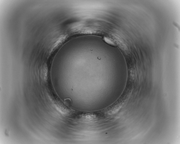 X0000094370304200711021535