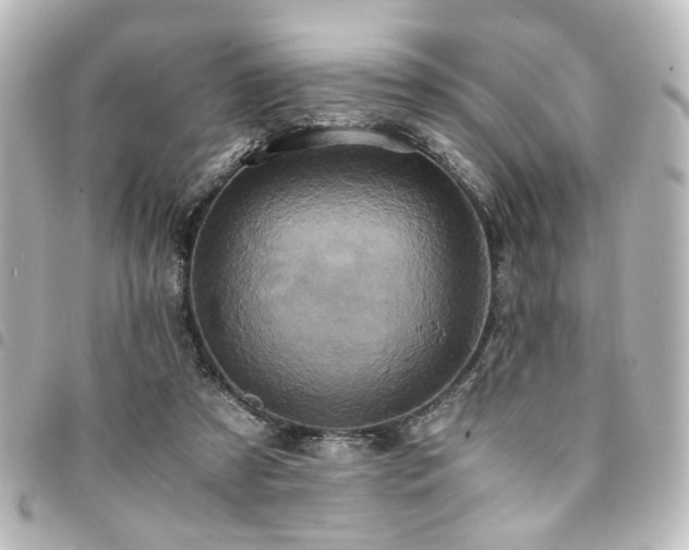 X0000094370305200711021535
