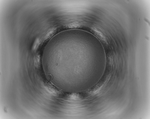 X0000094370308200711021535