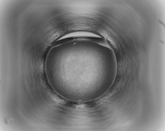 X0000094370309200711021535