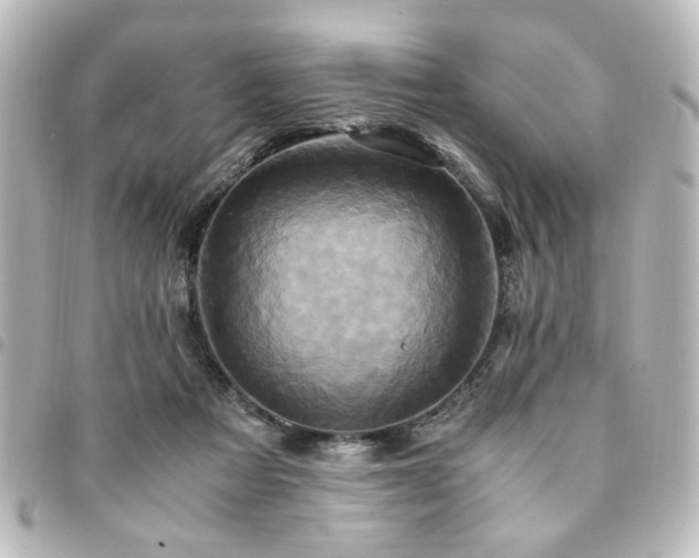 X0000094370313200711021535