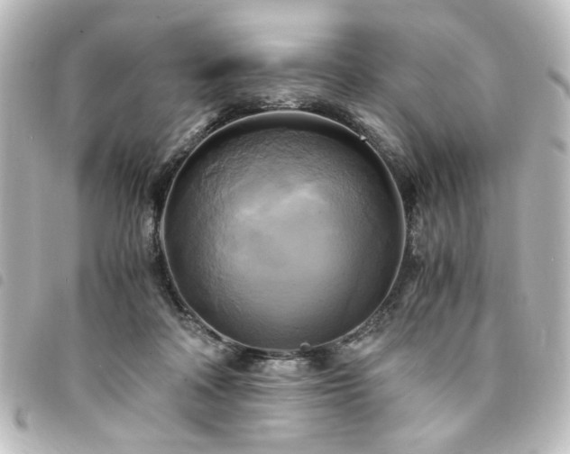 X0000094370314200711021535