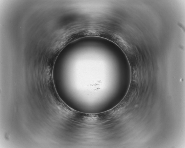 X0000094370318200711021535