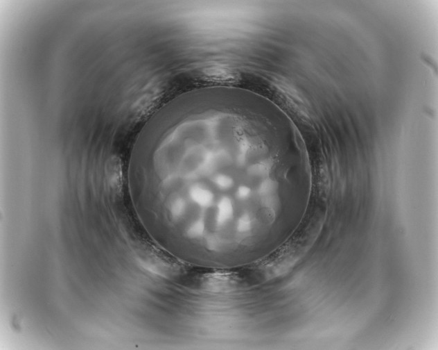 X0000094370320200711021535