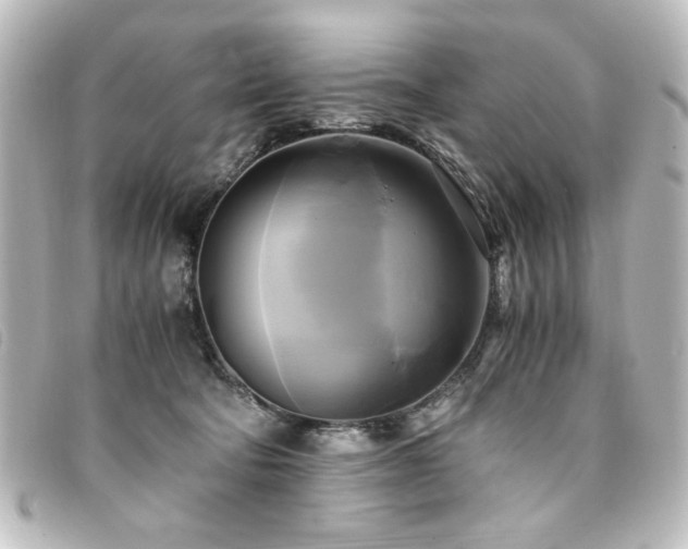 X0000094370322200711021534