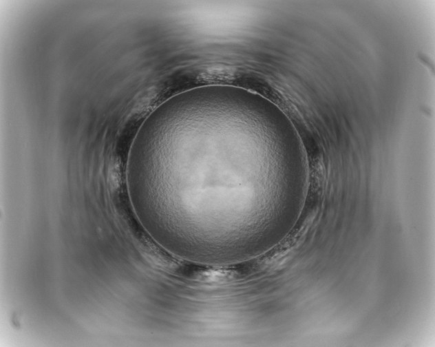 X0000094370323200711021534