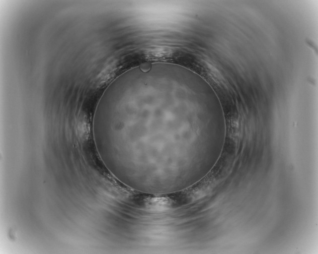X0000094370324200711021534