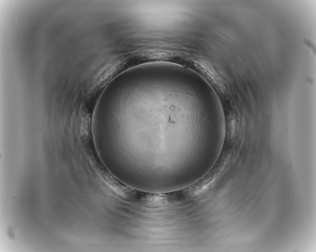 X0000094370325200711021534