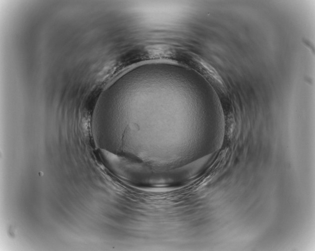 X0000094370329200711021534