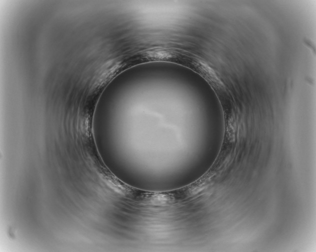 X0000094370330200711021534