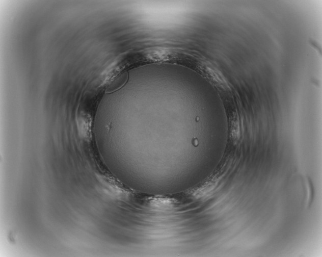 X0000094370332200711021534