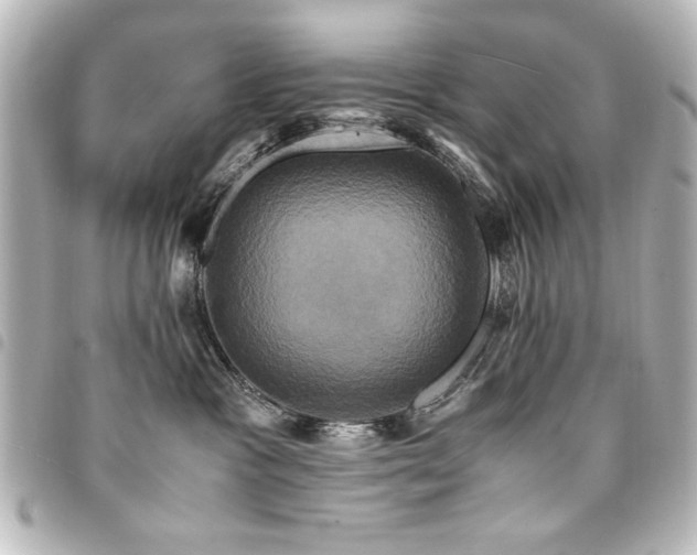 X0000094370333200711021534