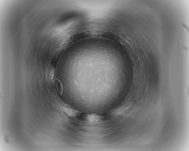X0000094370336200711021534