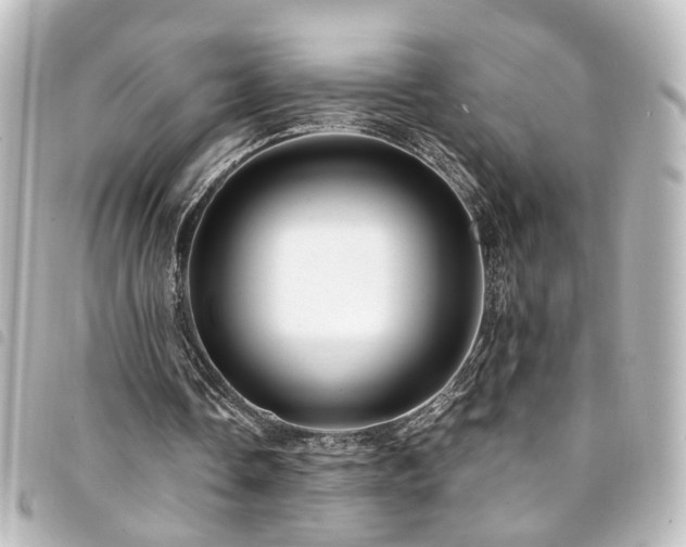 X0000094370338200711021534