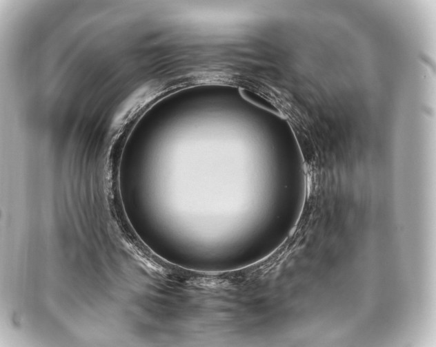 X0000094370339200711021534