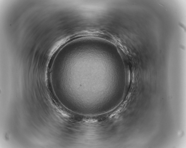 X0000094370340200711021534