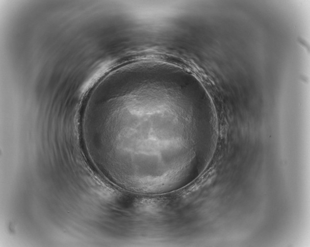 X0000094370341200711021534