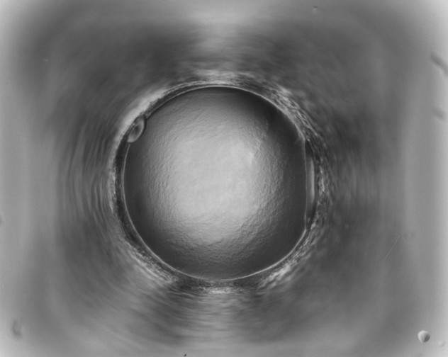 X0000094370342200711021534
