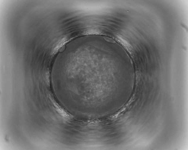 X0000094370345200711021534