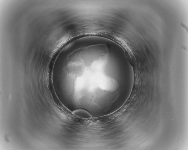 X0000094370346200711021534