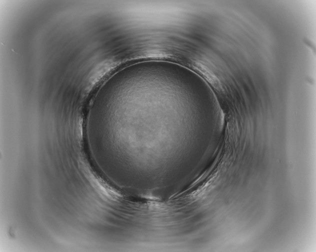 X0000094370350200711021534