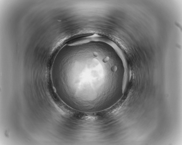 X0000094370352200711021534