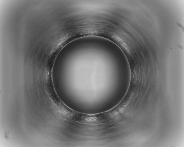 X0000094370355200711021534