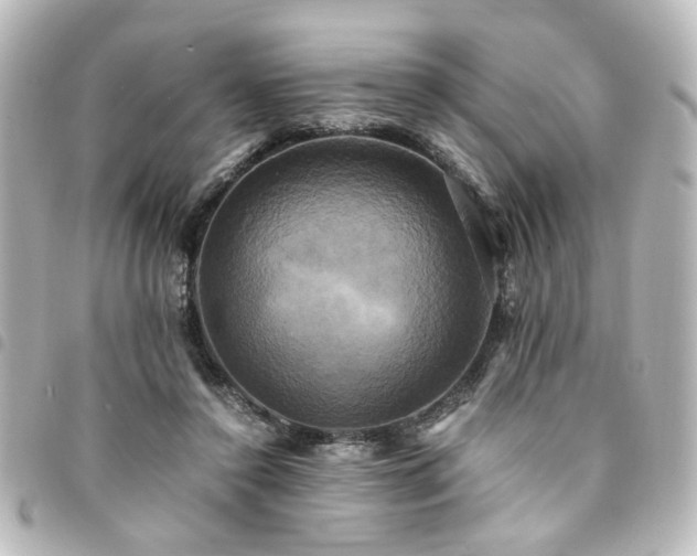 X0000094370356200711021534