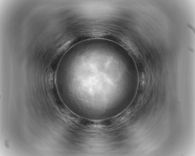 X0000094370360200711021534