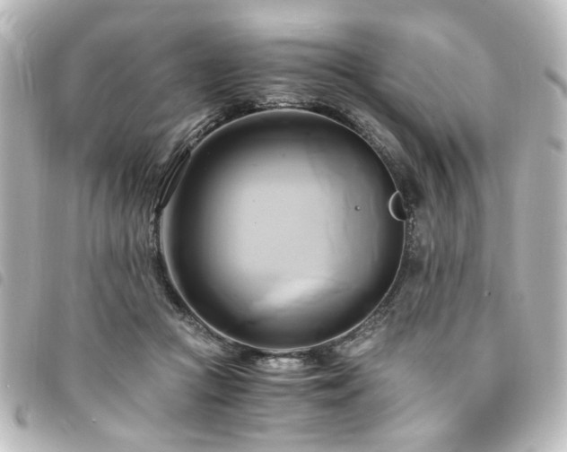 X0000094370361200711021534