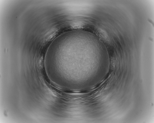X0000094370364200711021534