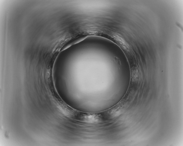 X0000094370365200711021534