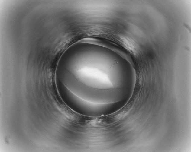 X0000094370366200711021534
