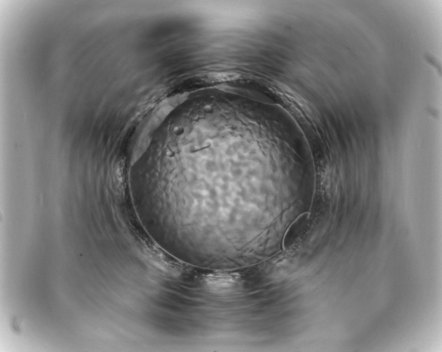 X0000094370373200711021534