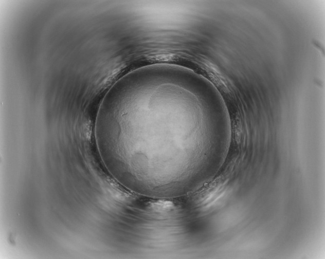 X0000094370374200711021534