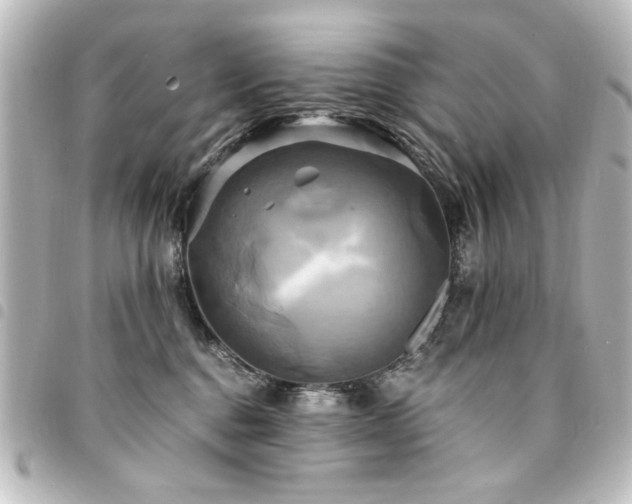 X0000094370376200711021534