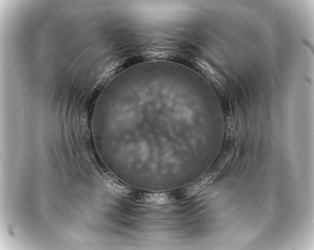 X0000094370377200711021534