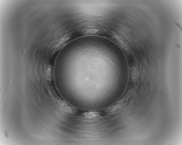 X0000094370378200711021534