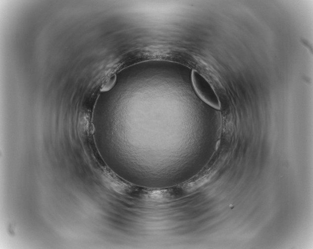 X0000094370382200711021534