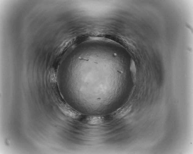 X0000094370384200711021534