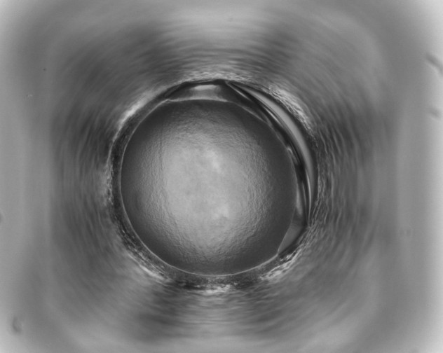 X0000094370388200711021534
