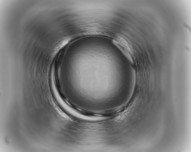 X0000094370389200711021534